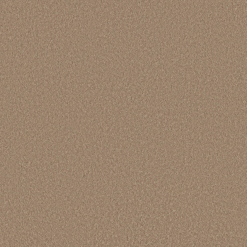 Velvet Touch I