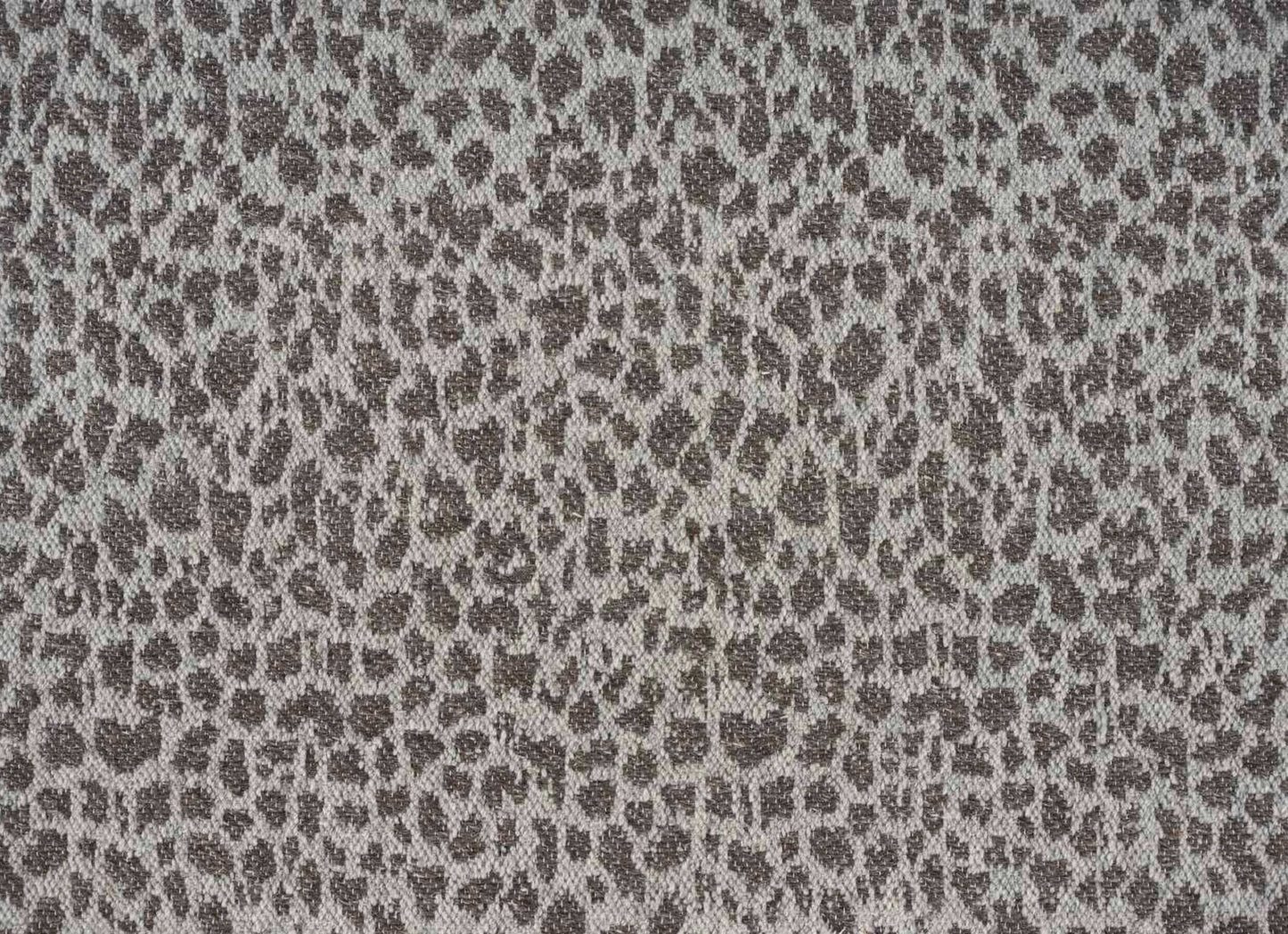 Natural Cheetah