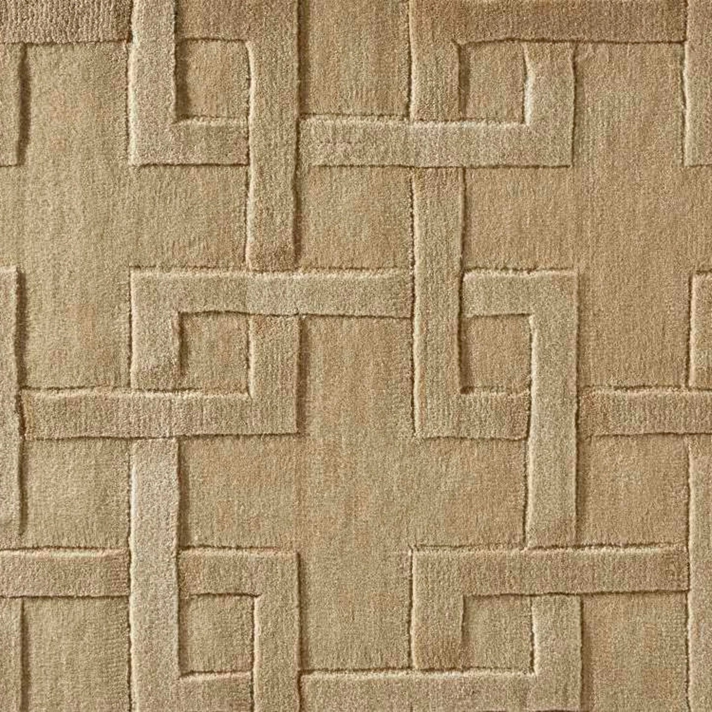 Miami Mimo in Linen Carpet