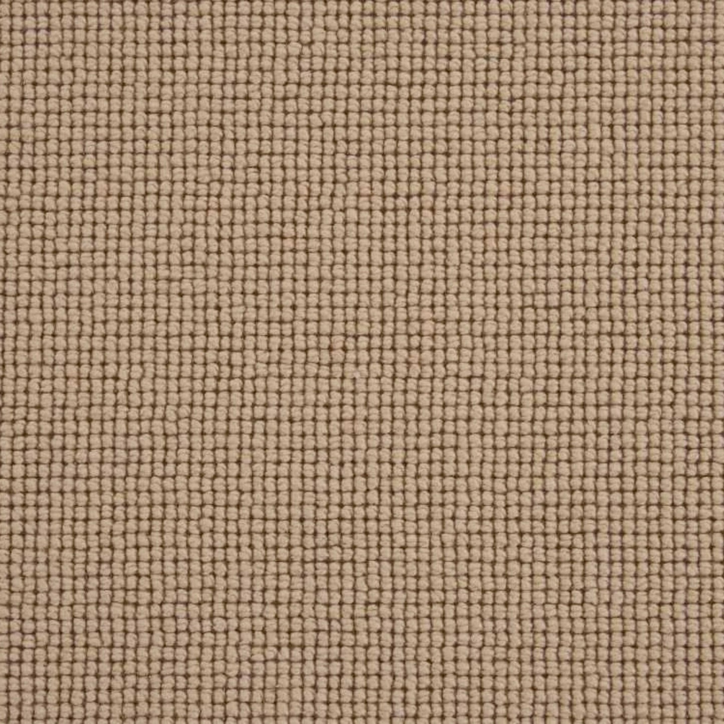 Rockville in Harvest Carpet