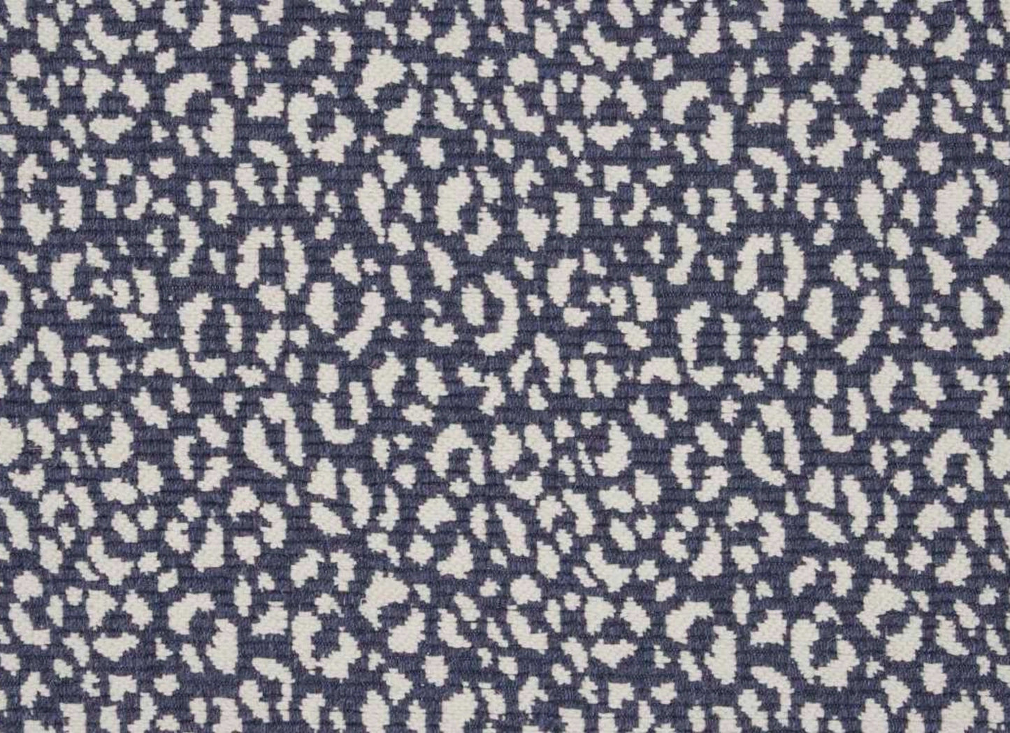 Savoy Leopard