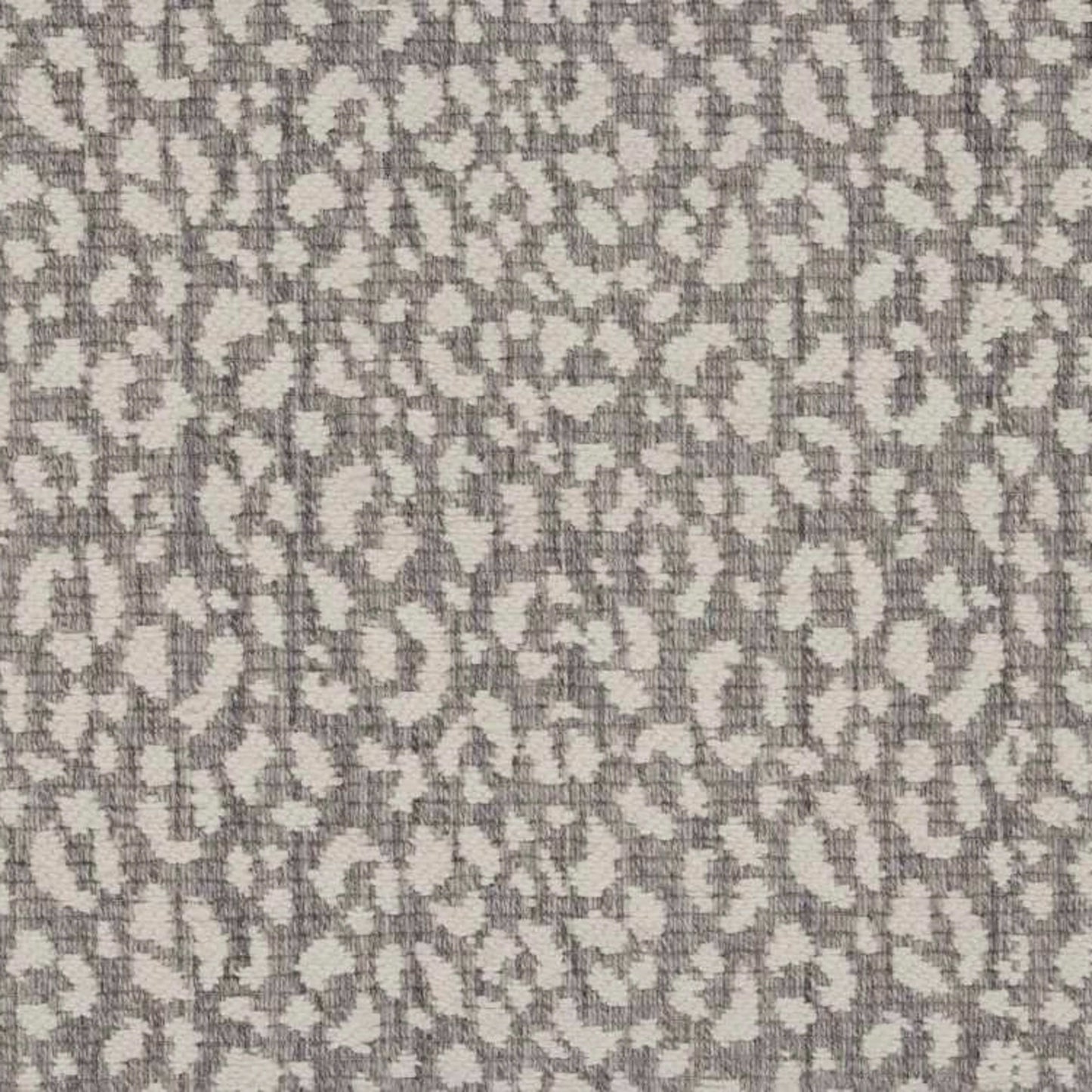 Savoy Leopard