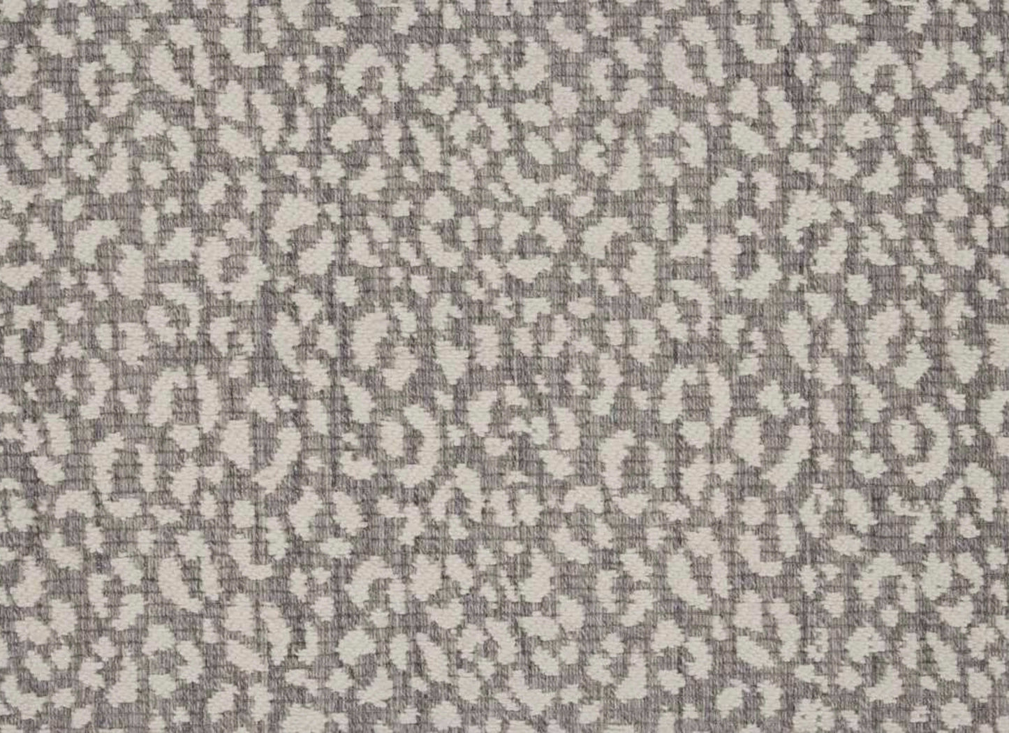 Savoy Leopard