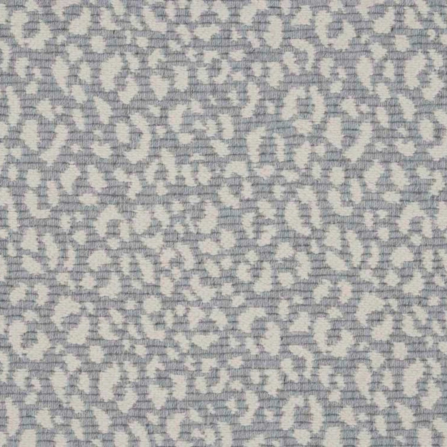 Savoy Leopard