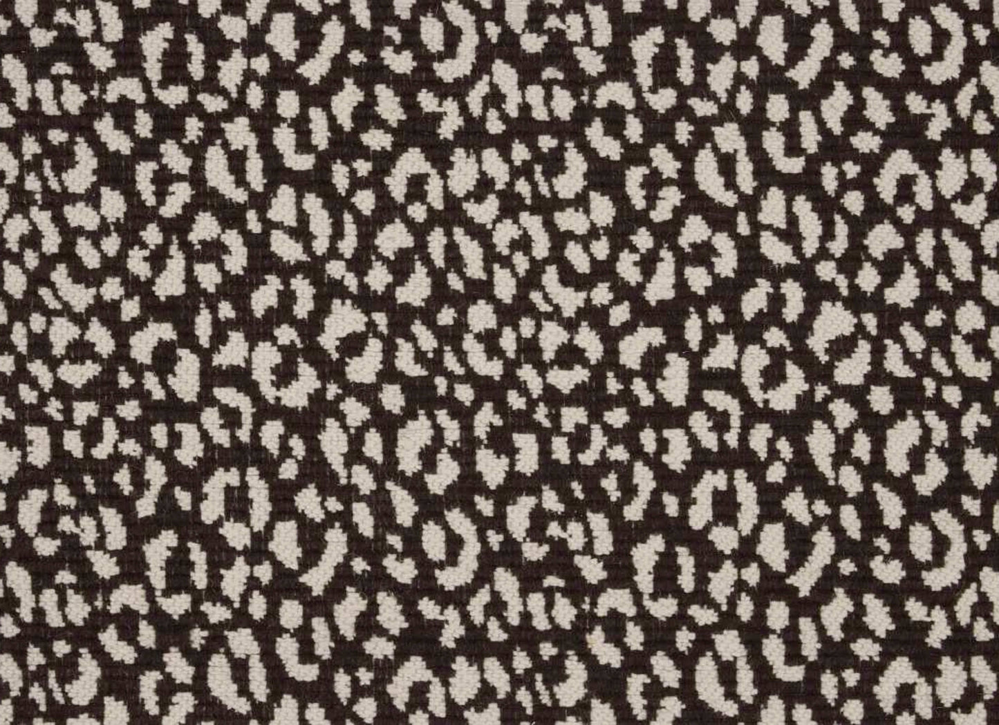 Savoy Leopard
