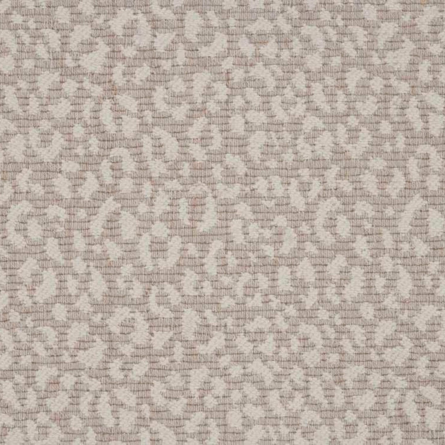 Savoy Leopard
