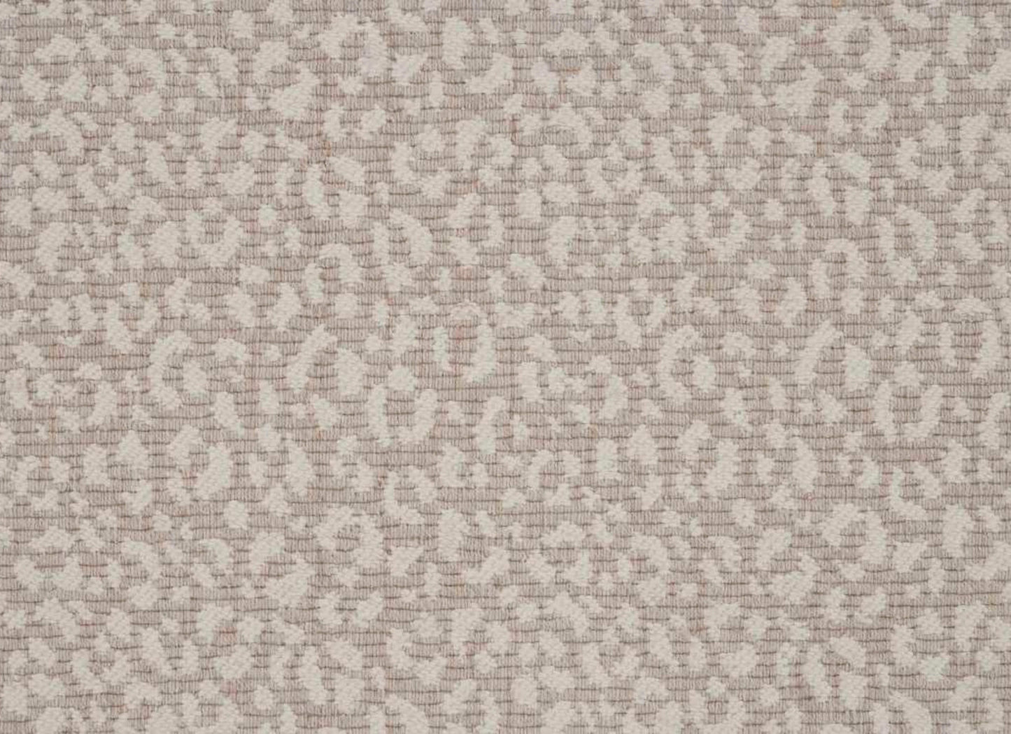 Savoy Leopard