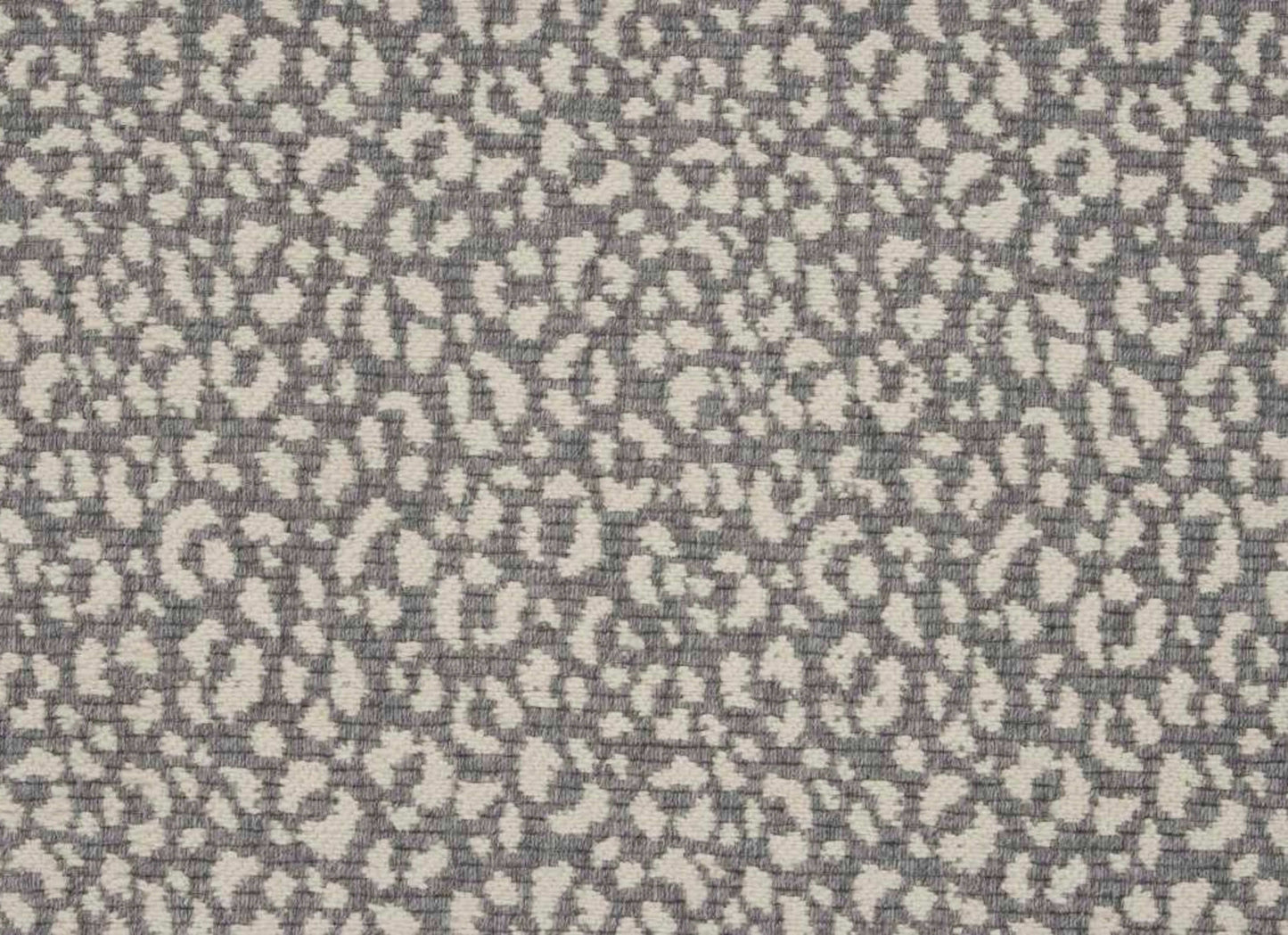 Savoy Leopard