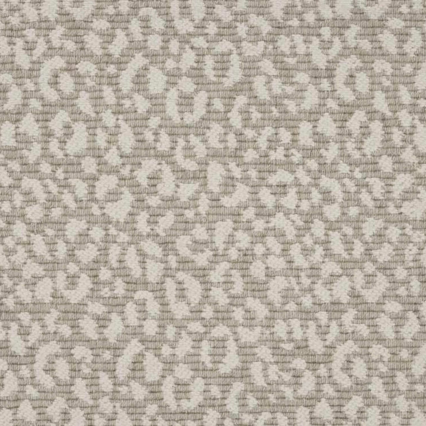 Savoy Leopard
