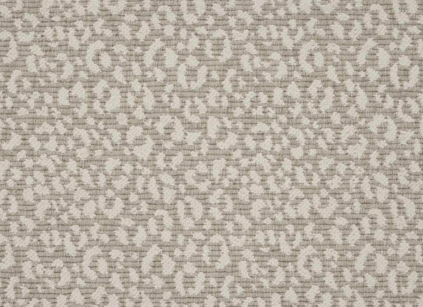 Savoy Leopard