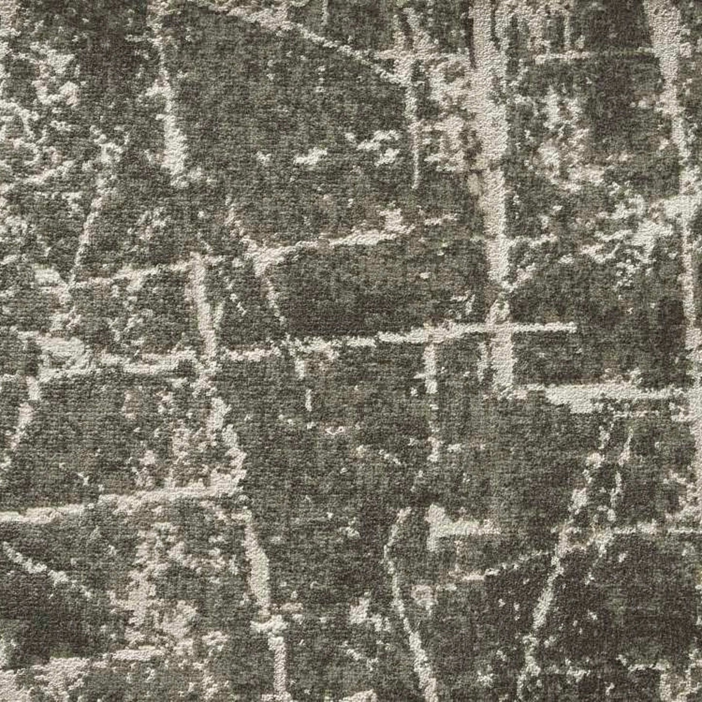 Starlight Frenetic in Graphite Carpet