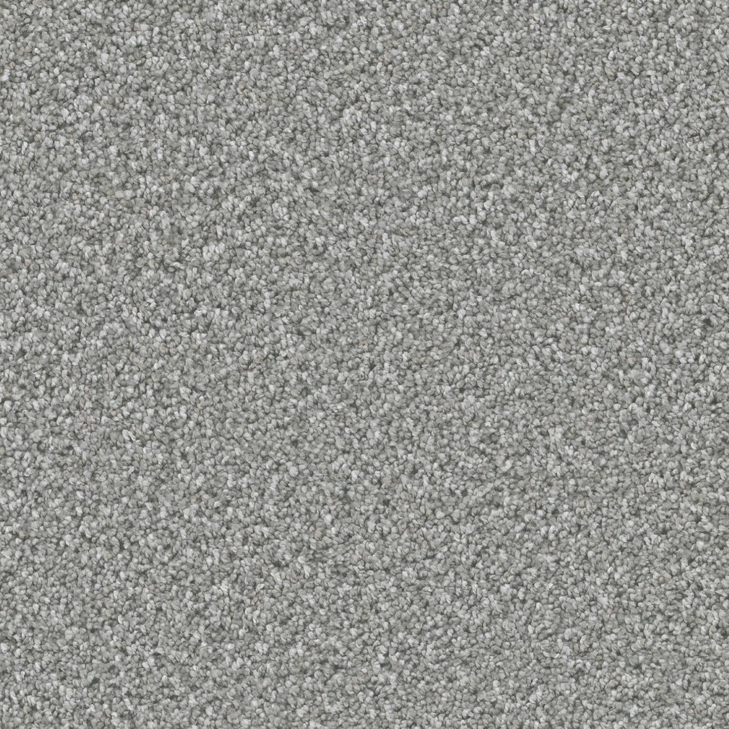 Queens in Moonstone Carpet