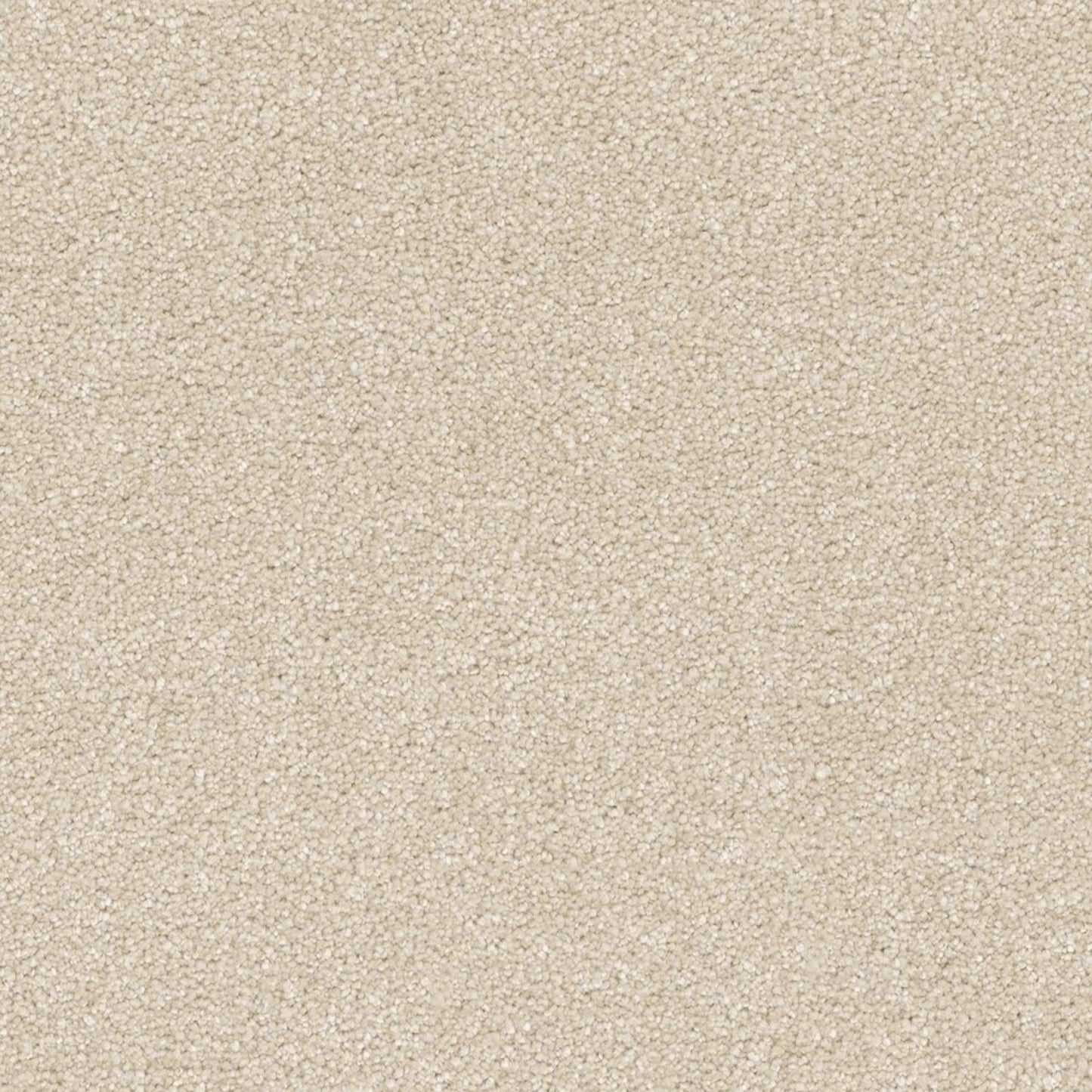 Laramie II in Feather Soft Carpet