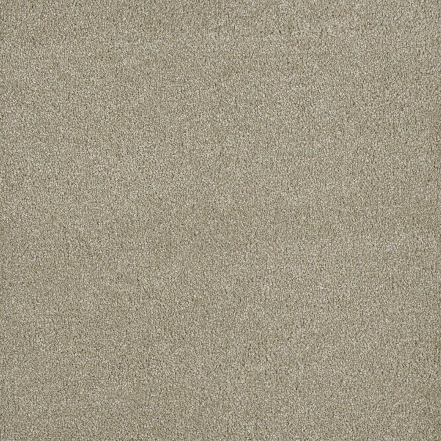 Newport I in Oak Barrel Carpet