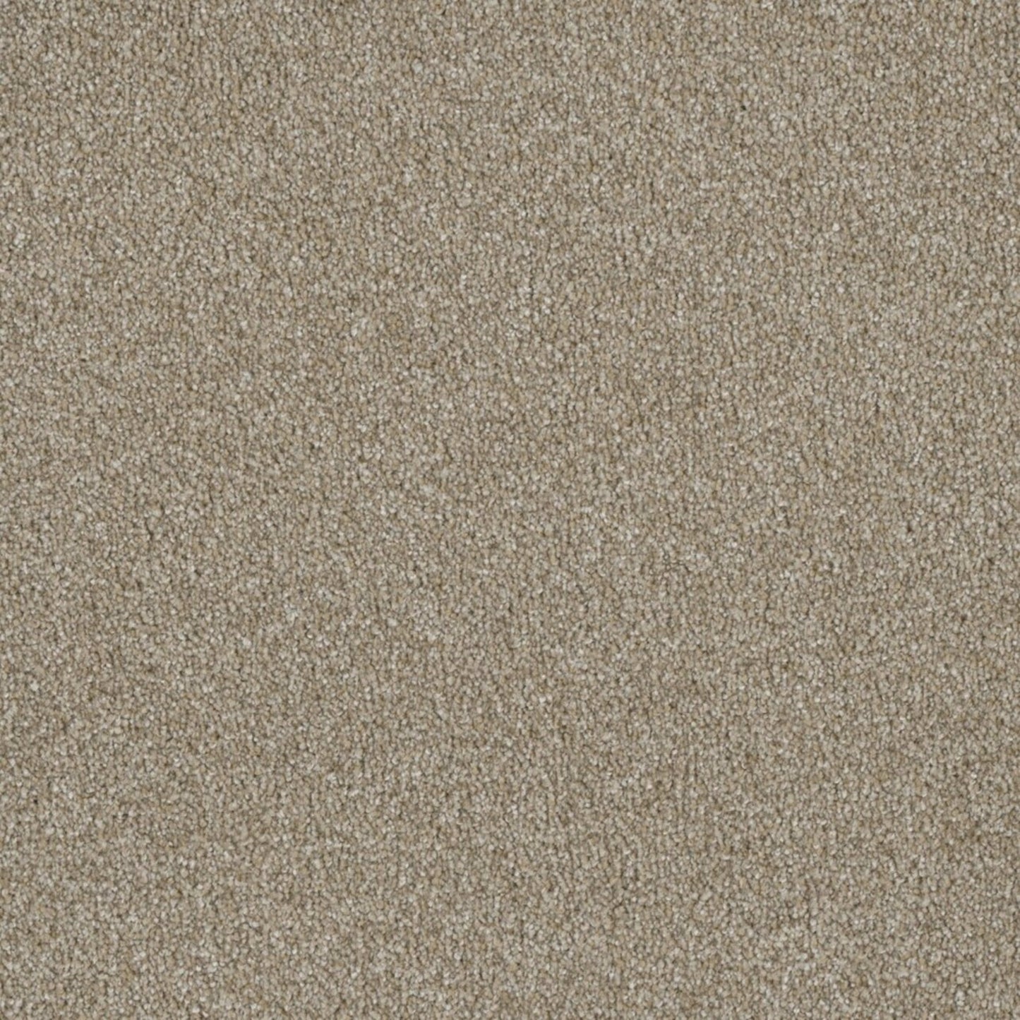 Profound III in Outback Carpet