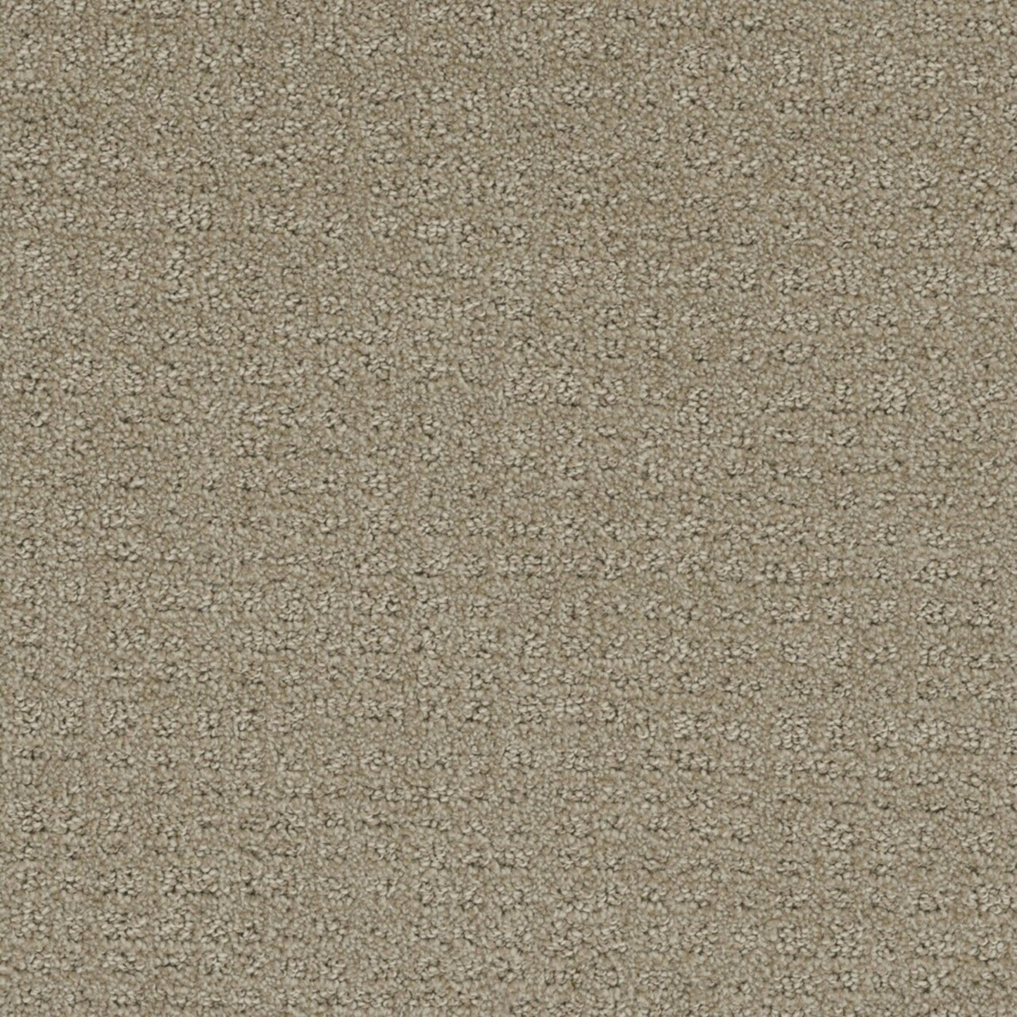 Step By Step in Fieldcrest Carpet