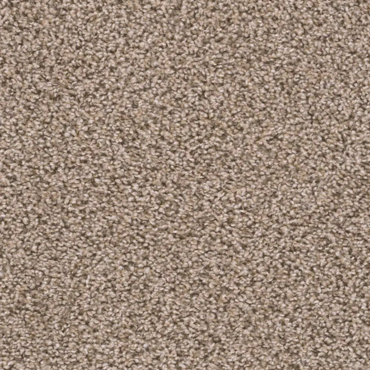 Sweepstakes in Claystone Carpet