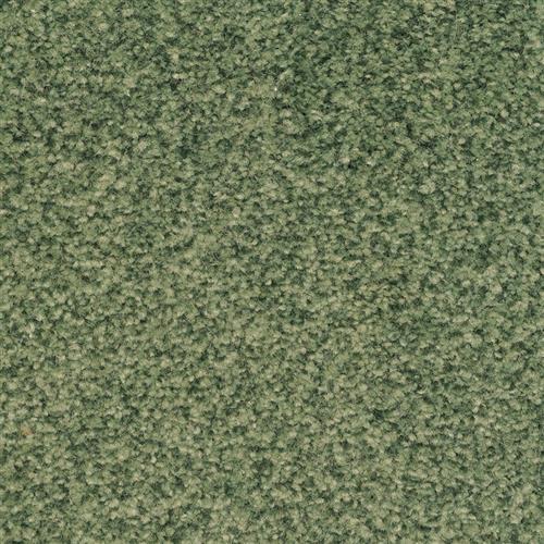 Chromatic Touch in Hunt Club Carpet