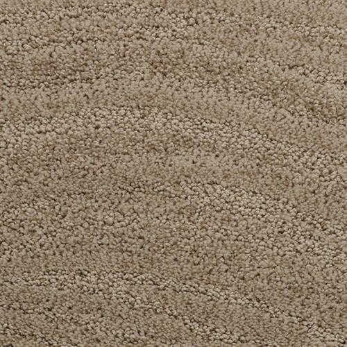 Taittinger in Ashley Taupe Carpet