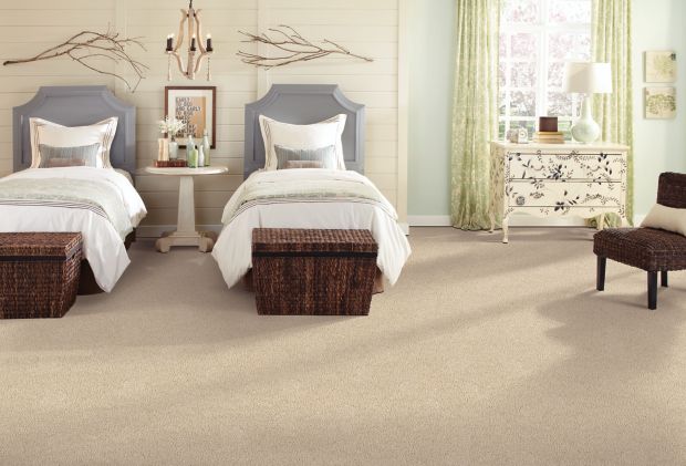 Treasure Valley in December Lace Carpet