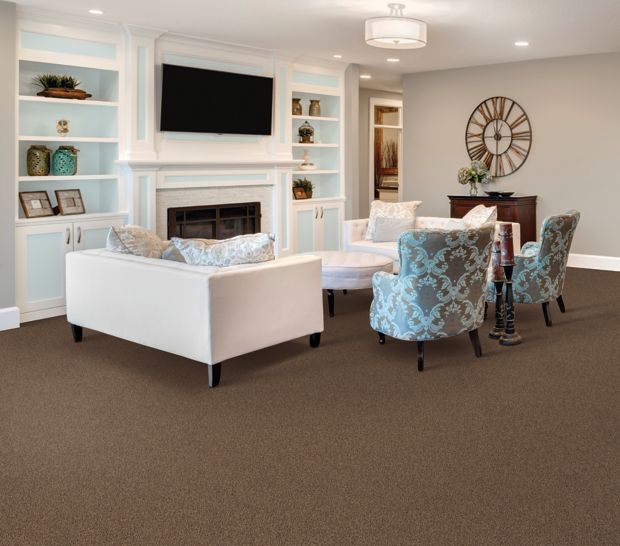 Exquisite Shades in Gentle Breeze Carpet