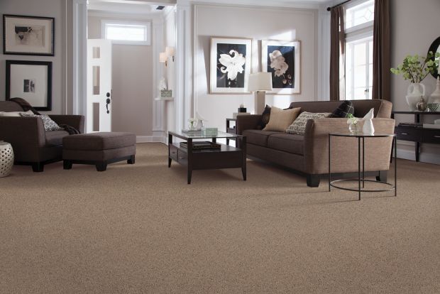 Artistic Allure in Stonewood Carpet