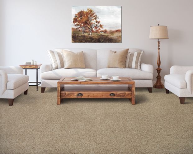Medalist in Driftwood Carpet