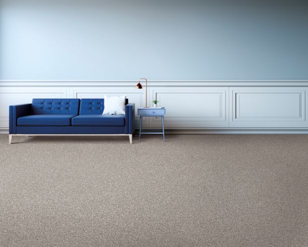 Modern View in Renoir Bisque Carpet