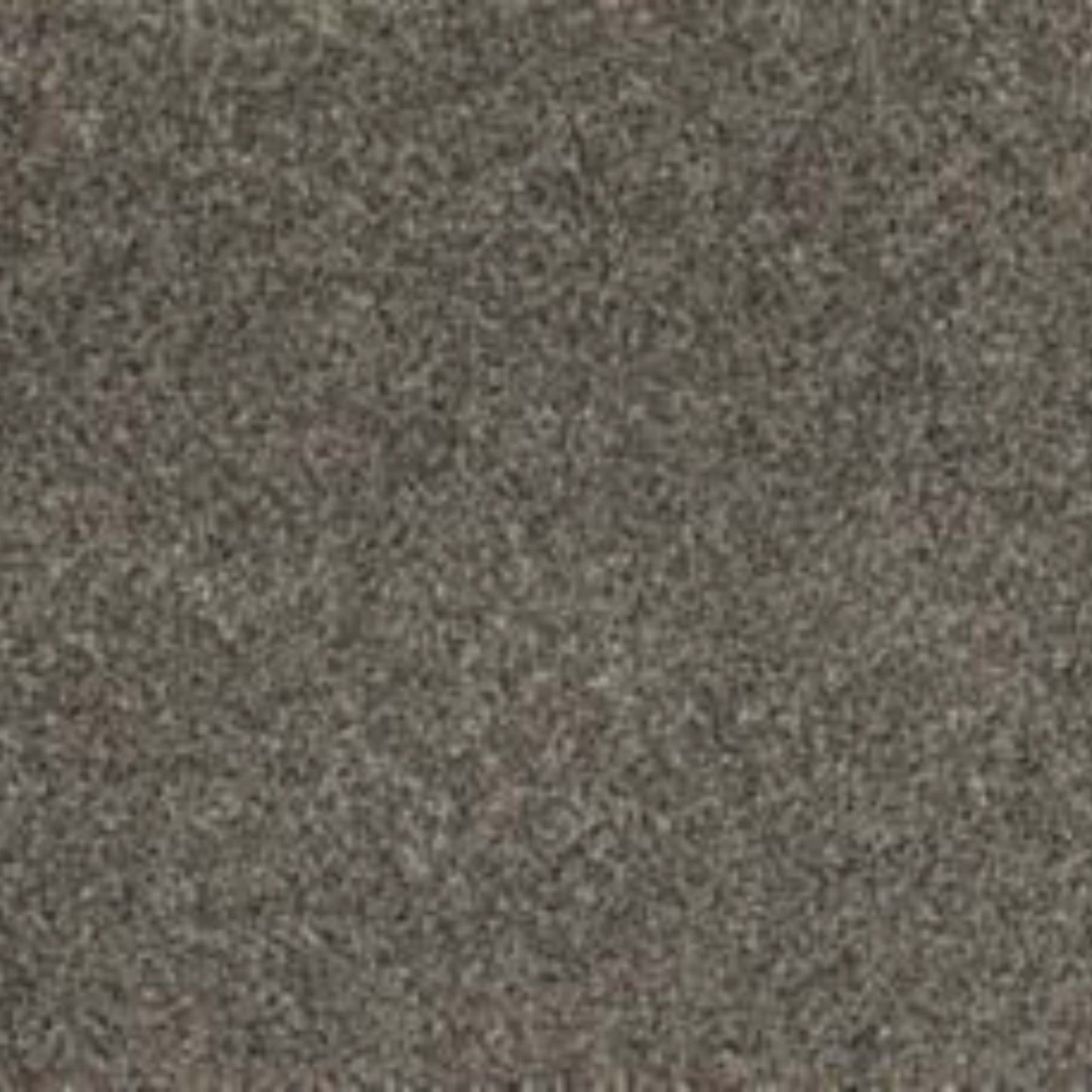 Soft Tempo II in Gravel Path Carpet