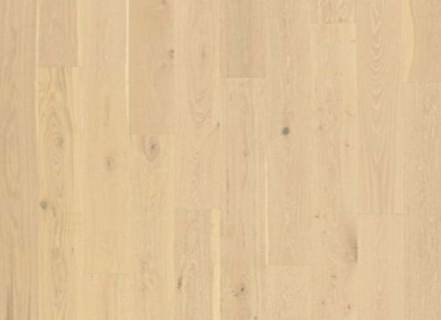 Collington in Corked Oak