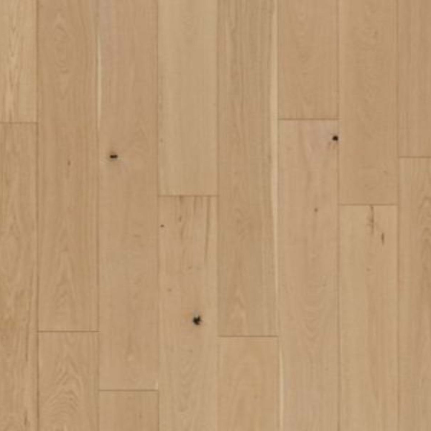 Collington in Corked Oak