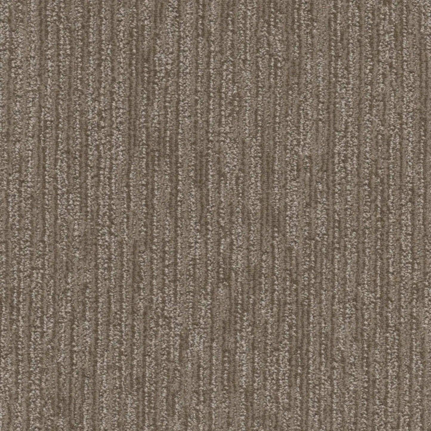 Venetian in Warm Autumn Carpet