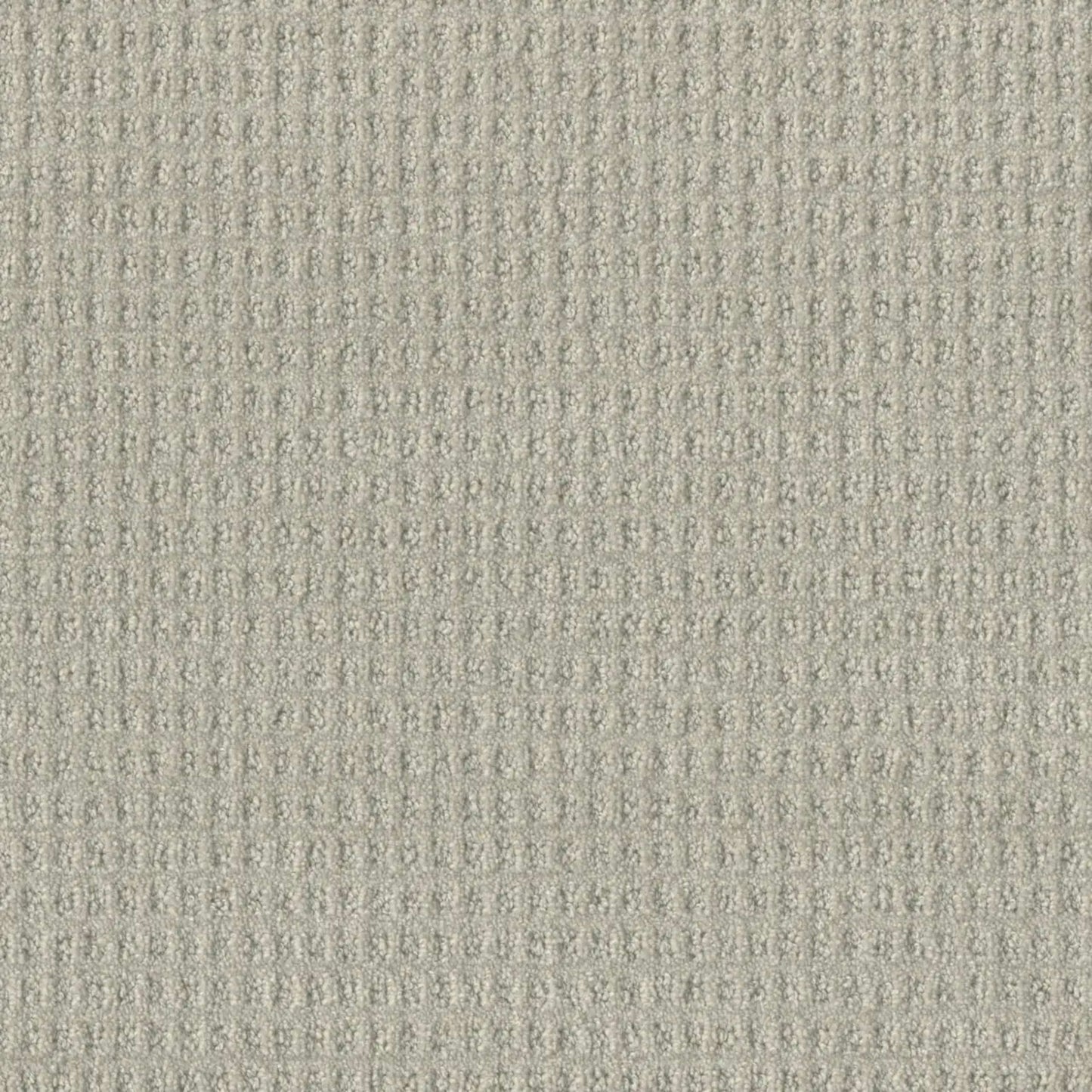 Perfect Balance in Tranquil Carpet