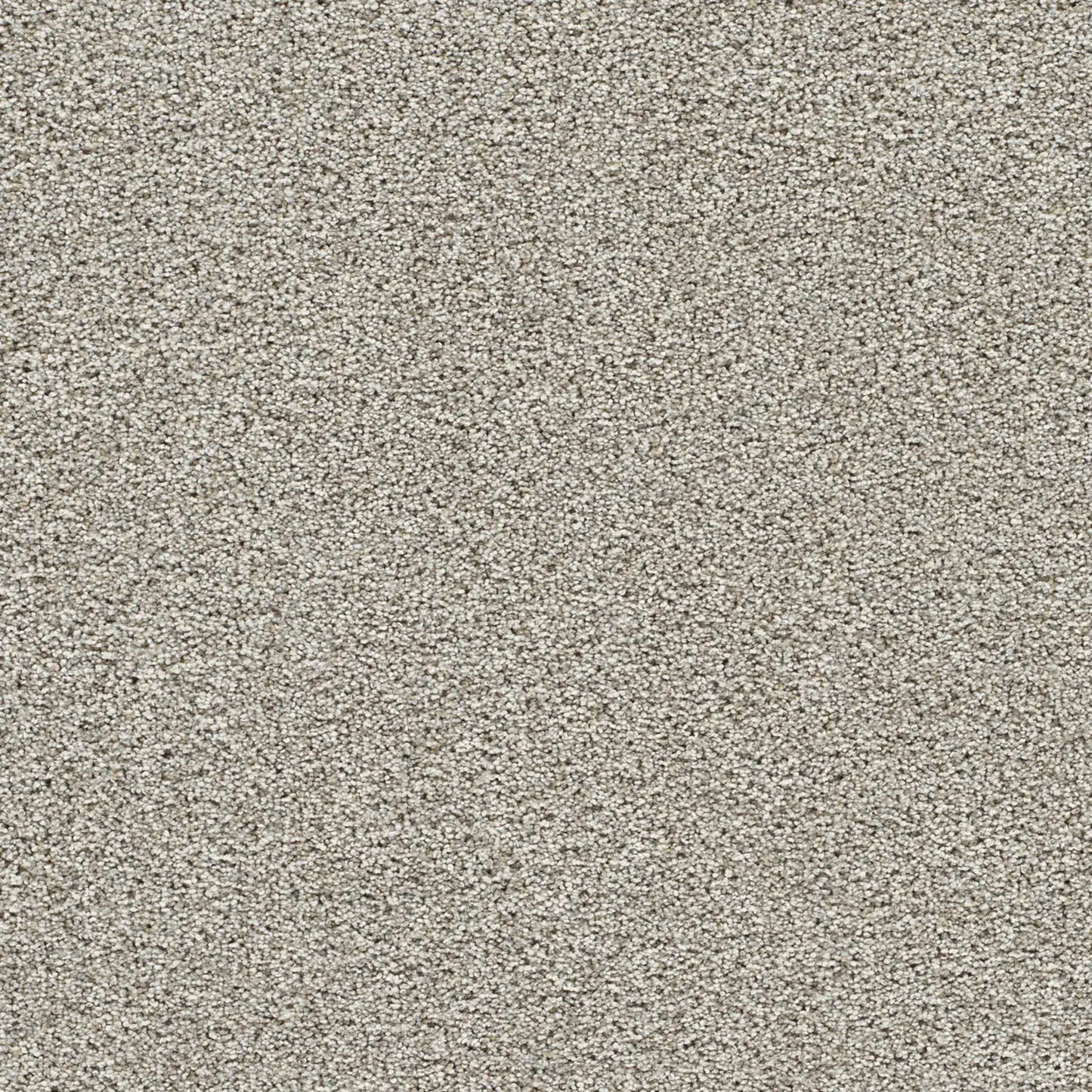 Lucky Penny I in Pine Cone Carpet
