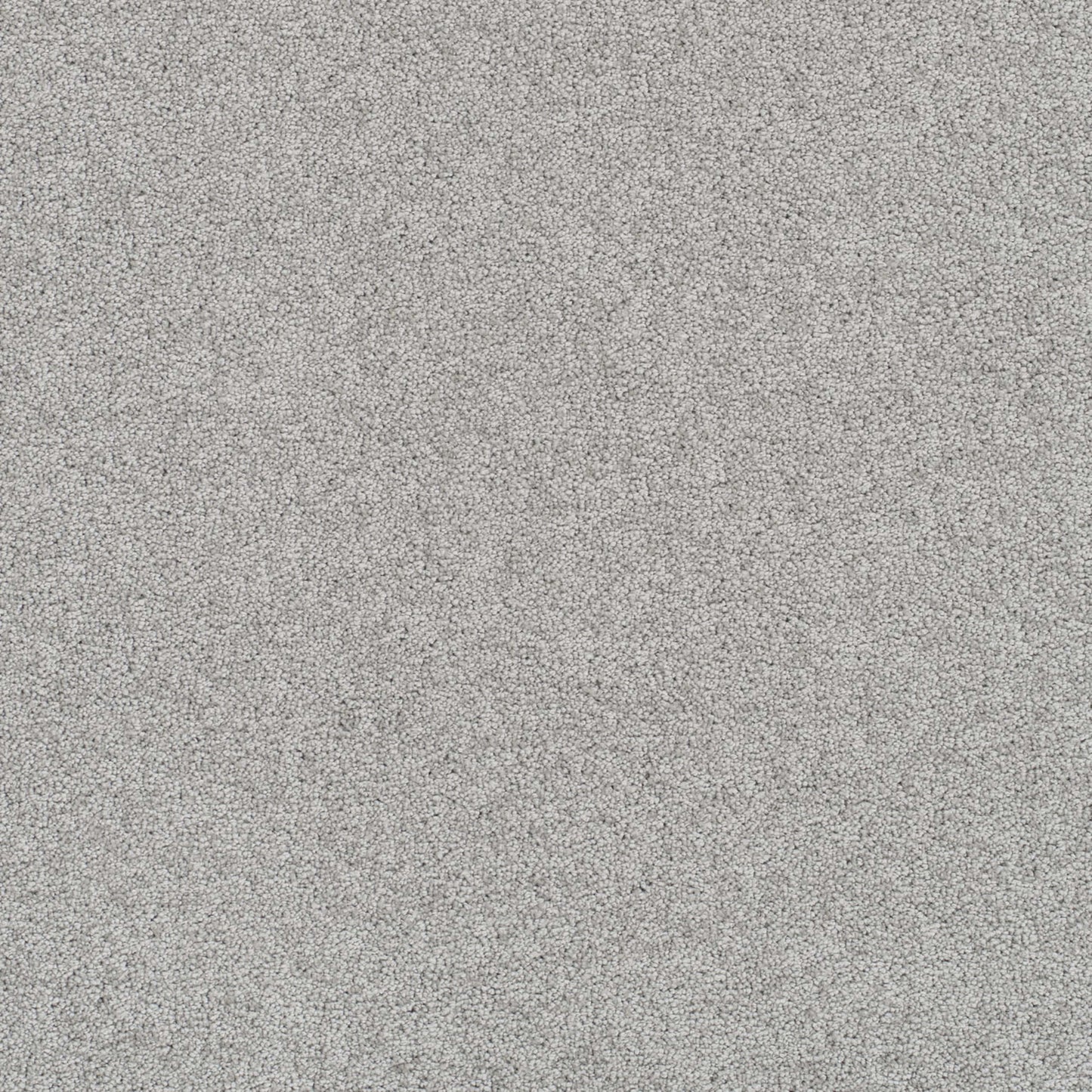 Rock Solid III in Icicle Carpet