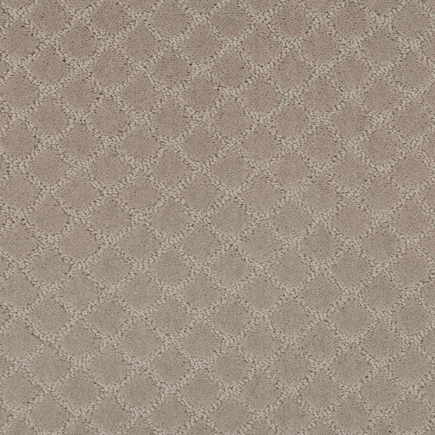 Fashion Portrait in Bone Carpet