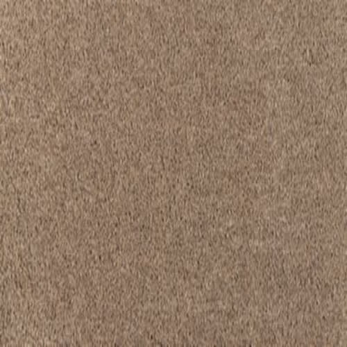 Refined Simplicity in Enigma Carpet