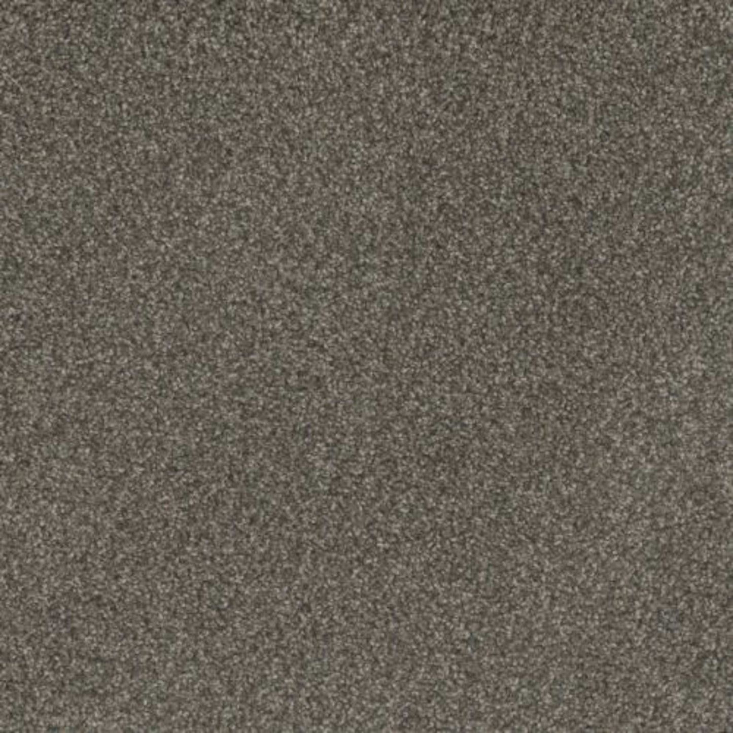 MILL CREEK I in Warm Pine Carpet