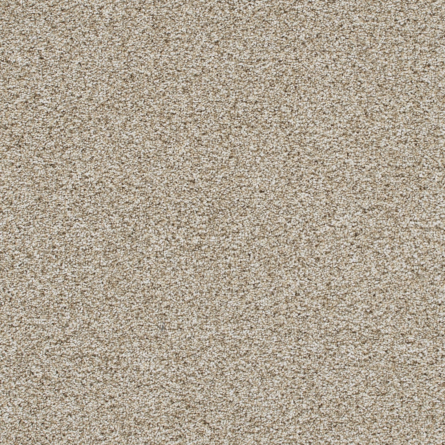 Reflections III in Seashells Carpet