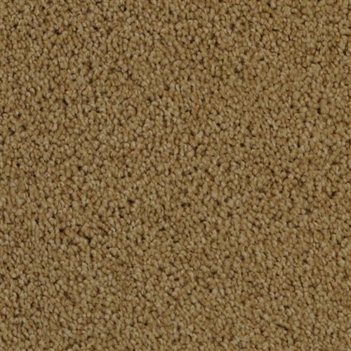 Delight in Camelite Carpet