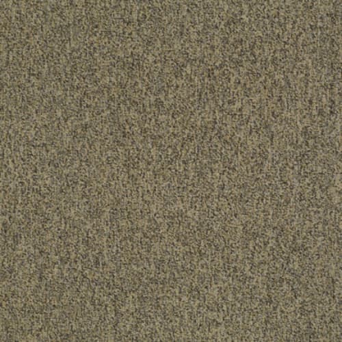 MULTIPLICITY 24X24 in Abundance Carpet