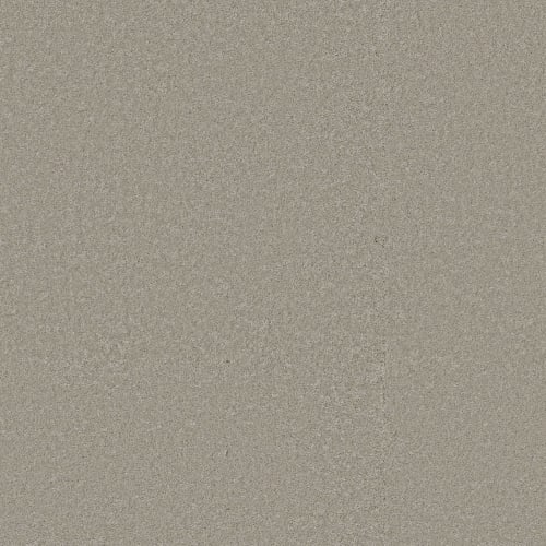 WAY TO GO III in Taupe Tone Carpet
