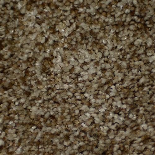 Brilliance in Frisco Carpet