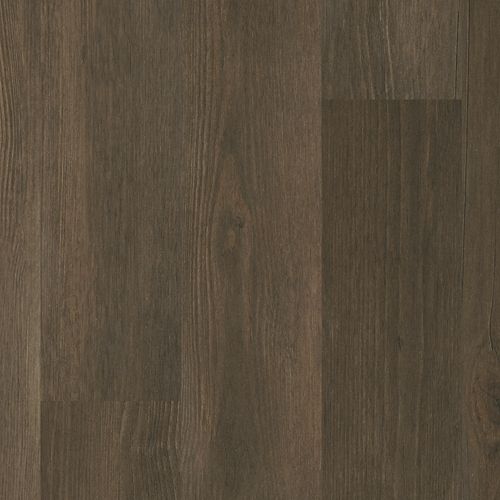 Caldwell in Forest Brown