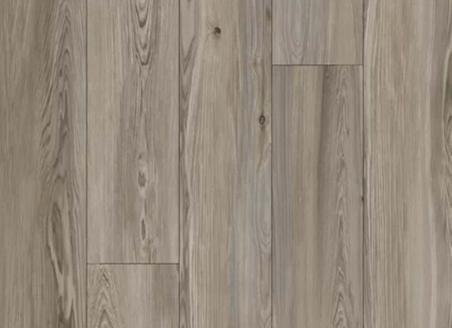 Refined Forest in Platinum