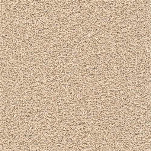 EXCEPTIONAL II in Cookie Dough Carpet