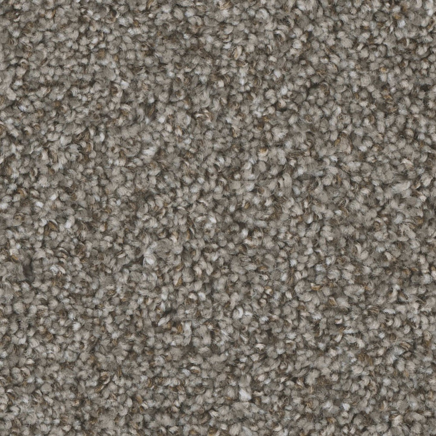 Mount Rainier II in Bay Dunes Carpet
