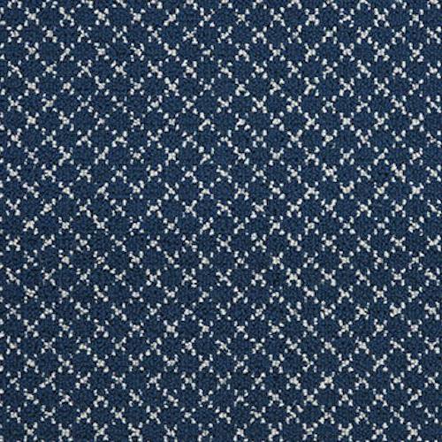 Expressions Metro 2 in Mtr2 Navy Carpet