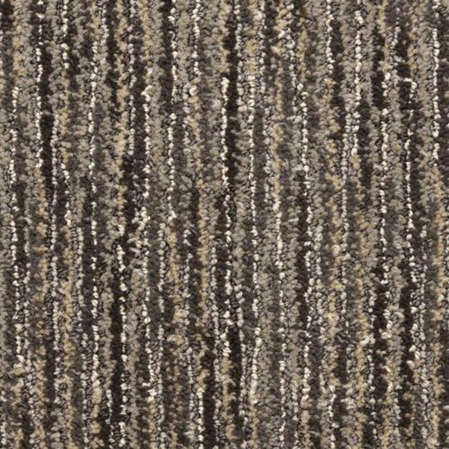 Vivacity in Power Carpet