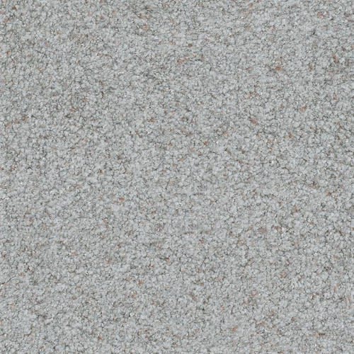 Boca Raton in Never Ending Carpet